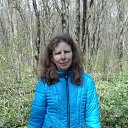 ���� �����, ���������� - ��������� 22 ������ 2017 � ������ ���� ����������