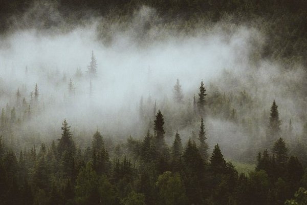 А тебе никогда не хотелось холодным осенним утром стоять на опушке леса над обрывистым берегом реки, ... - 4