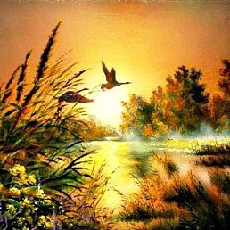 ����, ����, 39 ���