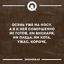 ���� �����, ������, 50 ��� - ��������� 8 �������� 2017 � ������ ���� ����������