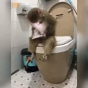 ���� Anatoli, ������� - ��������� 8 ��� 2017 � ������ ���� ����������