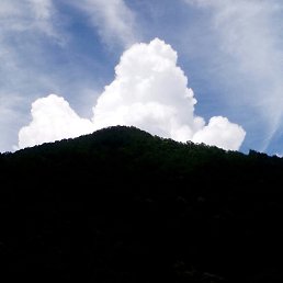 �������, ������