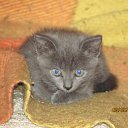 ���� ���������, ���������, 69 ��� - ��������� 10 �������� 2017 � ������ ������ ��������