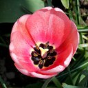 ��� 2017 �� ������� ���� ����������� (!) ��������)�