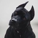 ���� ����, ����, 42 ���� - ��������� 4 �������� 2017 � ������ ���� ����������