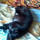 Elenka))) 220,  -  14  2017    -  .