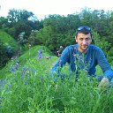 ���� ����������, �������, 46 ��� - ��������� 20 ������ 2017