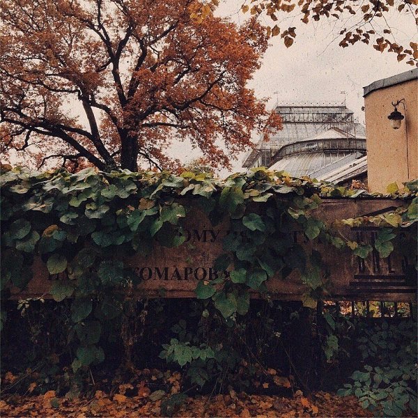 Эстетика осеннего Петербурга - 4
