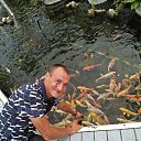  , -, 47  -  21  2017    