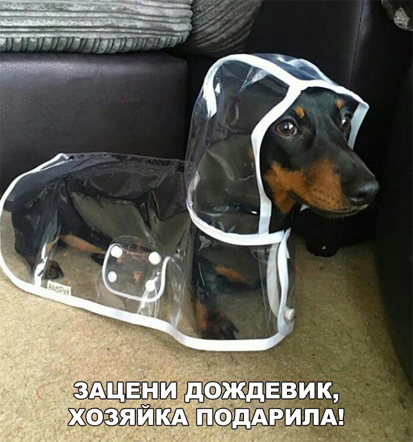 ☆☆ - 12  2017  18:52