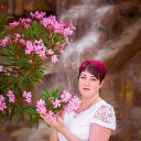 ���� �����, �������� - ��������� 31 ���� 2017 � ������ ������ ��������