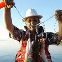 ���� ������, ������ - ��������� 9 ������� 2017 � ������ ���� ����������