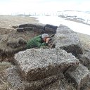 ���� Gamlet, ������, 67 ��� - ��������� 9 ������� 2017 � ������ ���� ���� ������