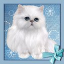 ���� �����, ���������, 79 ��� - ��������� 5 ��� 2017 � ������ ���� ����������