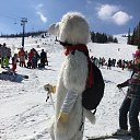 ���� �����, ����������� - ��������� 11 ������ 2017 � ������ �������� ������ 2017�