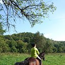 ���� ������, ���������, 39 ��� - ��������� 2 ���� 2017 � ������ ���� ����������