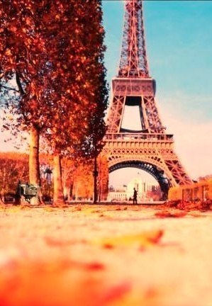  |  2016 |  |  |  - 3  2017  03:50