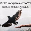 ���� �������, ������ - ��������� 10 ������� 2017 � ������ ������ ��������