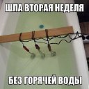 ���� �����, ���, 73 ���� - ��������� 7 ���� 2017 � ������ ������ ��������