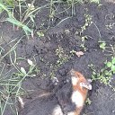 ���� �������, ����������� - ��������� 30 ���� 2017 � ������ ������� ��.�