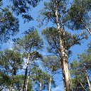 ���� ��������, ������� - ��������� 22 ��� 2017 � ������ ���� ����������