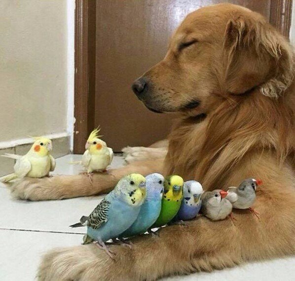 ���������.