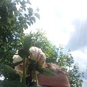 ���� ������, ���� - ��������� 23 ���� 2017 � ������ ���� ����������