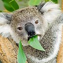 ���� ����� � 72, ��������, 53 ���� - ��������� 31 ������� 2017 � ������ ���� ����������