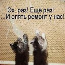 ���� �����, ������� - ��������� 22 ��� 2017 � ������ ����