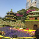 ���� Svetlana, ����������� - ��������� 7 ������� 2017 � ������ ���� ����������