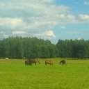���� Bakinec, ������, 51 ��� - ��������� 25 ���� 2017 � ������ ���� ����������