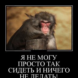 , , 45 