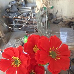 Andrey, ������������, 55 ���