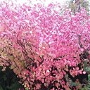 ���� �����, ������ - ��������� 3 ������ 2017 � ������ �Timeline Photos�