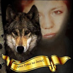 �������, ��������, 55 ���