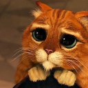 ���� ��, ����������, 58 ��� - ��������� 23 �������� 2017