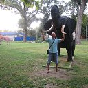 ���� �����, ���������, 49 ��� - ��������� 26 ���� 2017 � ������ ���� ����������