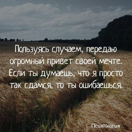  - 2  2017  12:34