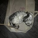 ���� ���, ������ - ��������� 19 �������� 2017 � ������ ���� ����������