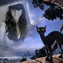 ���� ]{() � � -�]{ @, ������-��-���� - ��������� 8 ���� 2017 � ������ ���� ����