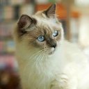 ���� ������(� �������), ����� - ��������� 10 ������� 2017 � ������ ���� ����������