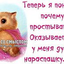 ���� �����, ������ - ��������� 23 ���� 2017 � ������ ������ ��������