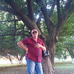 ������, �����, 71 ���