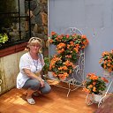 ���� ������, ����������, 64 ���� - ��������� 20 ������� 2017 � ������ ���� ����������