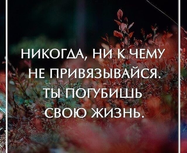 - 16  2017  13:45