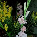 ���� ��������, ����������, 42 ���� - ��������� 5 ������� 2017 � ������ ������ ��������