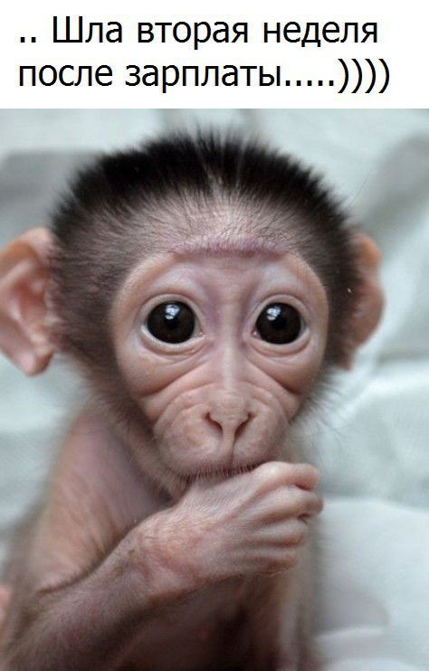 ����� - 12 ������ 2017 � 01:12