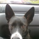 ���� �����, �����-���������, 49 ��� - ��������� 7 �������� 2017 � ������ ���� ����������