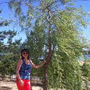 ���� ������, ������ - ��������� 6 ���� 2017 � ������ ���� ����������