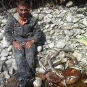  , , 85  -  19  2017   - 2017